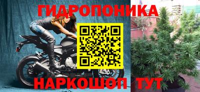 эйфоретик Заводоуковск