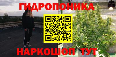 ECSTASY Заволжье