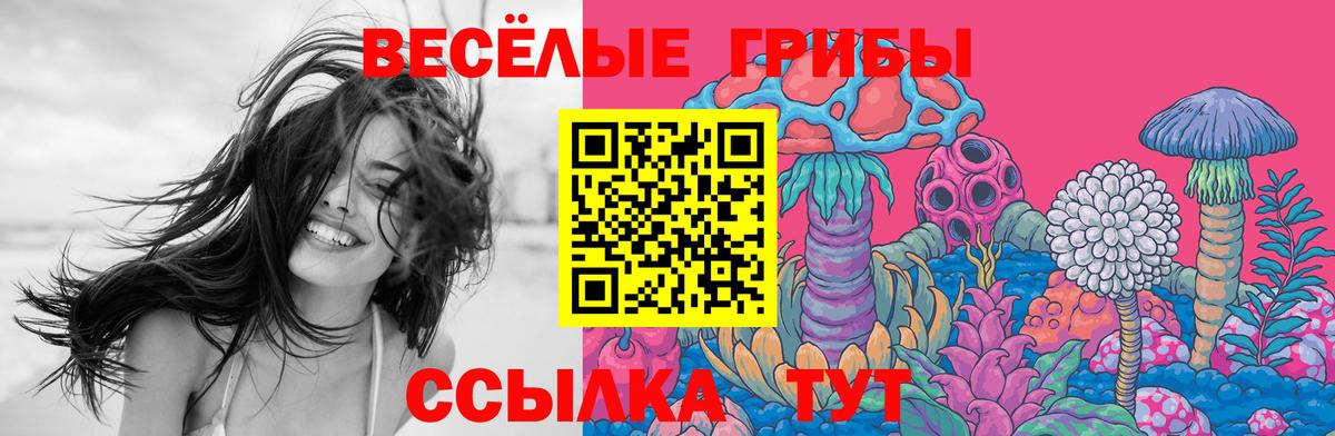 Псилоцибиновые грибы мухоморы Волхов