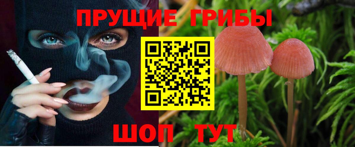 Волхов  Галлюциногенные грибы мицелий  Вход с VPN 