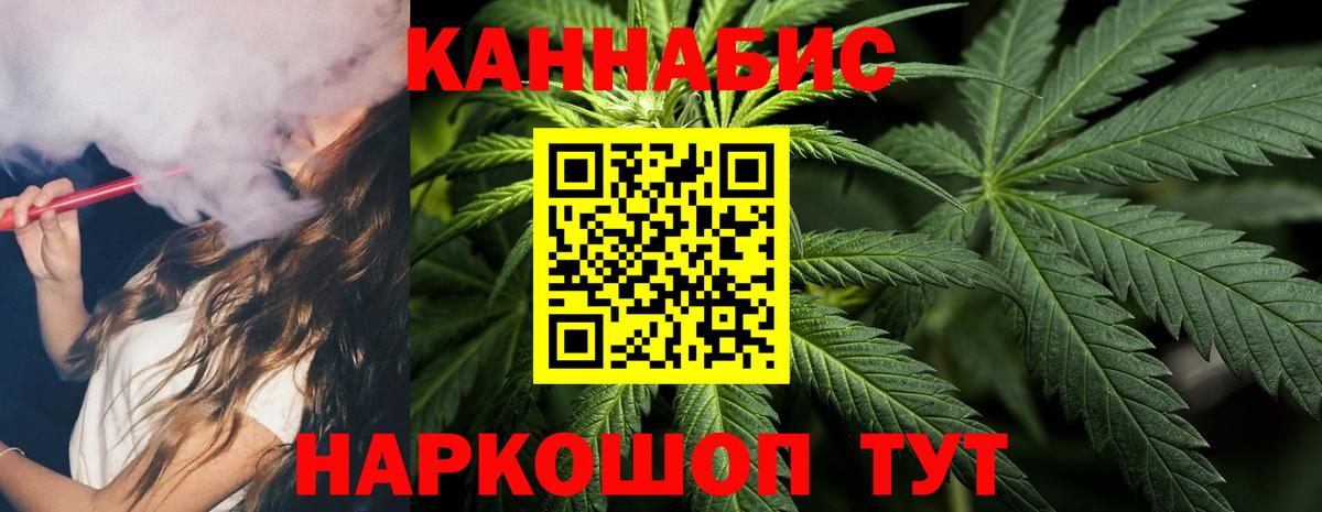 Шишки марихуана план Волхов